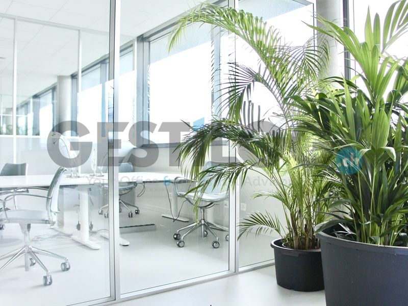 Two fully furnished and equipped offices of 50 m²