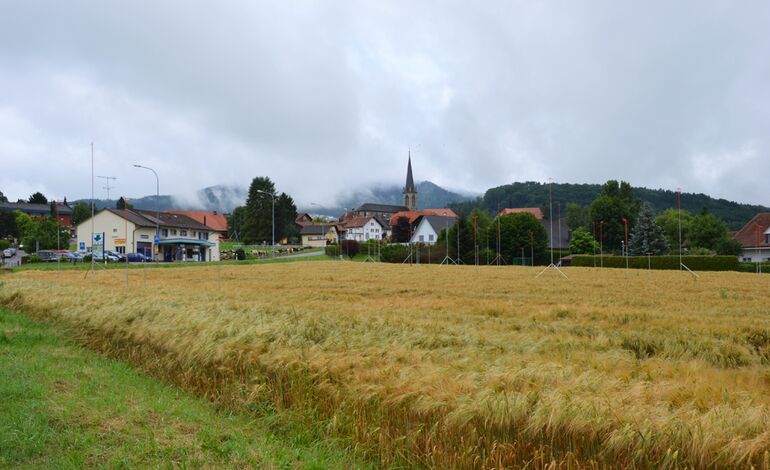Terrain à bâtir de 10'169 m²
CHF 214.-/m²