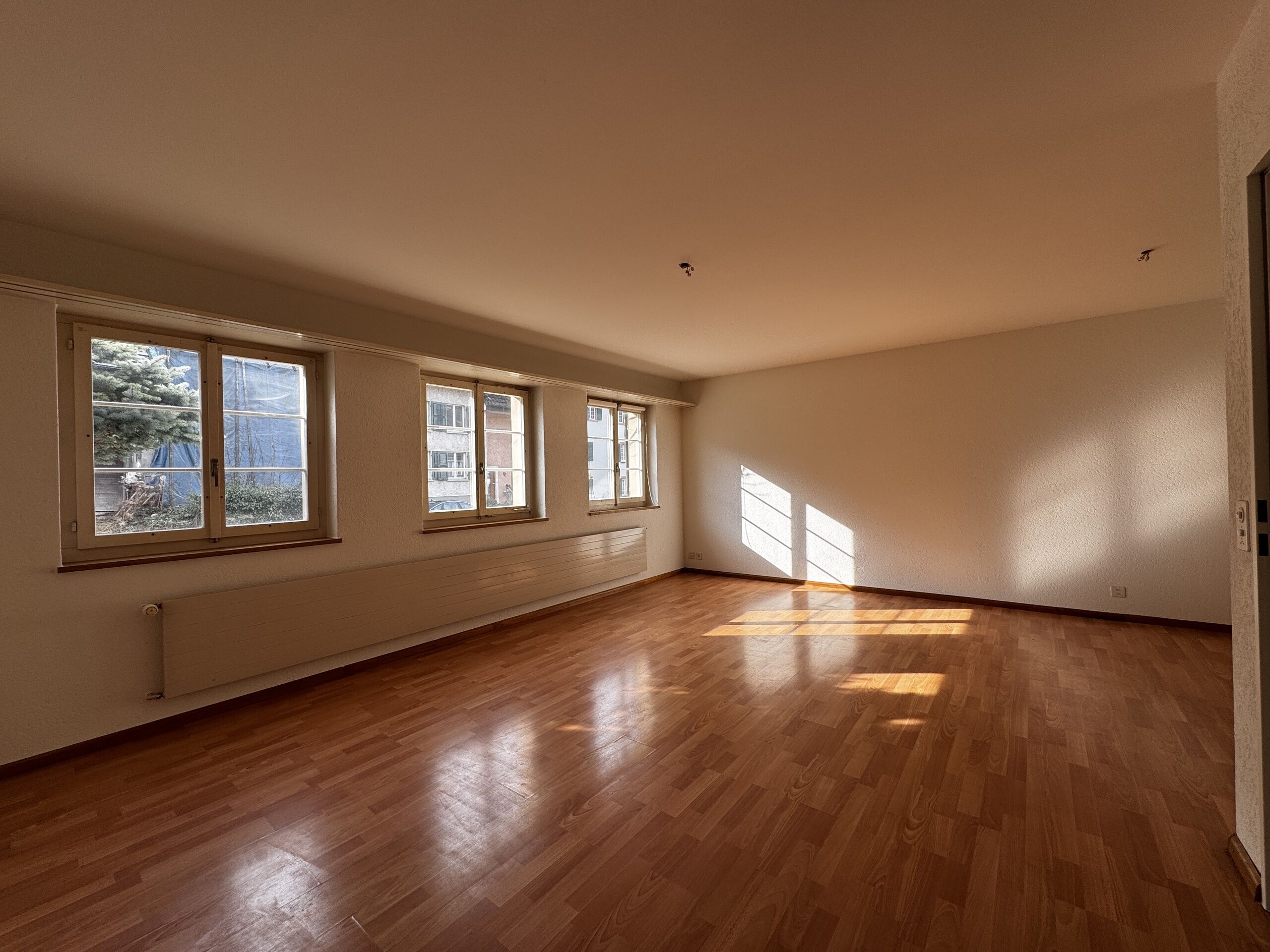 Grosszügige Wohnung 4207 Bretzwil 4207 Bretzwil
