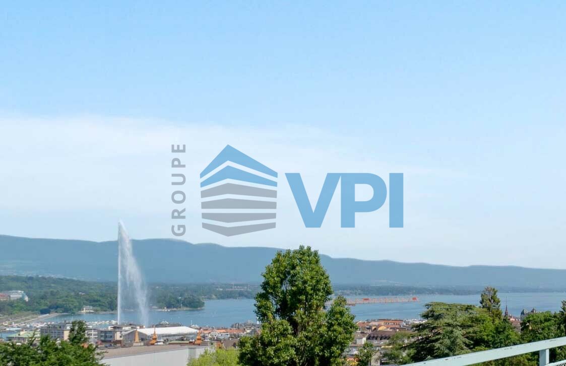 Superbe appartement rénové avec vue jet d'eau