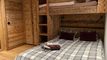 Rental of a new 6.5 room flat in a large chalet - Crettaux