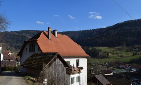 Village house with 2 apartments and offices