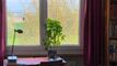 Attraktive 3.5 Zimmerwohnung in Urtenen-Schönbühl