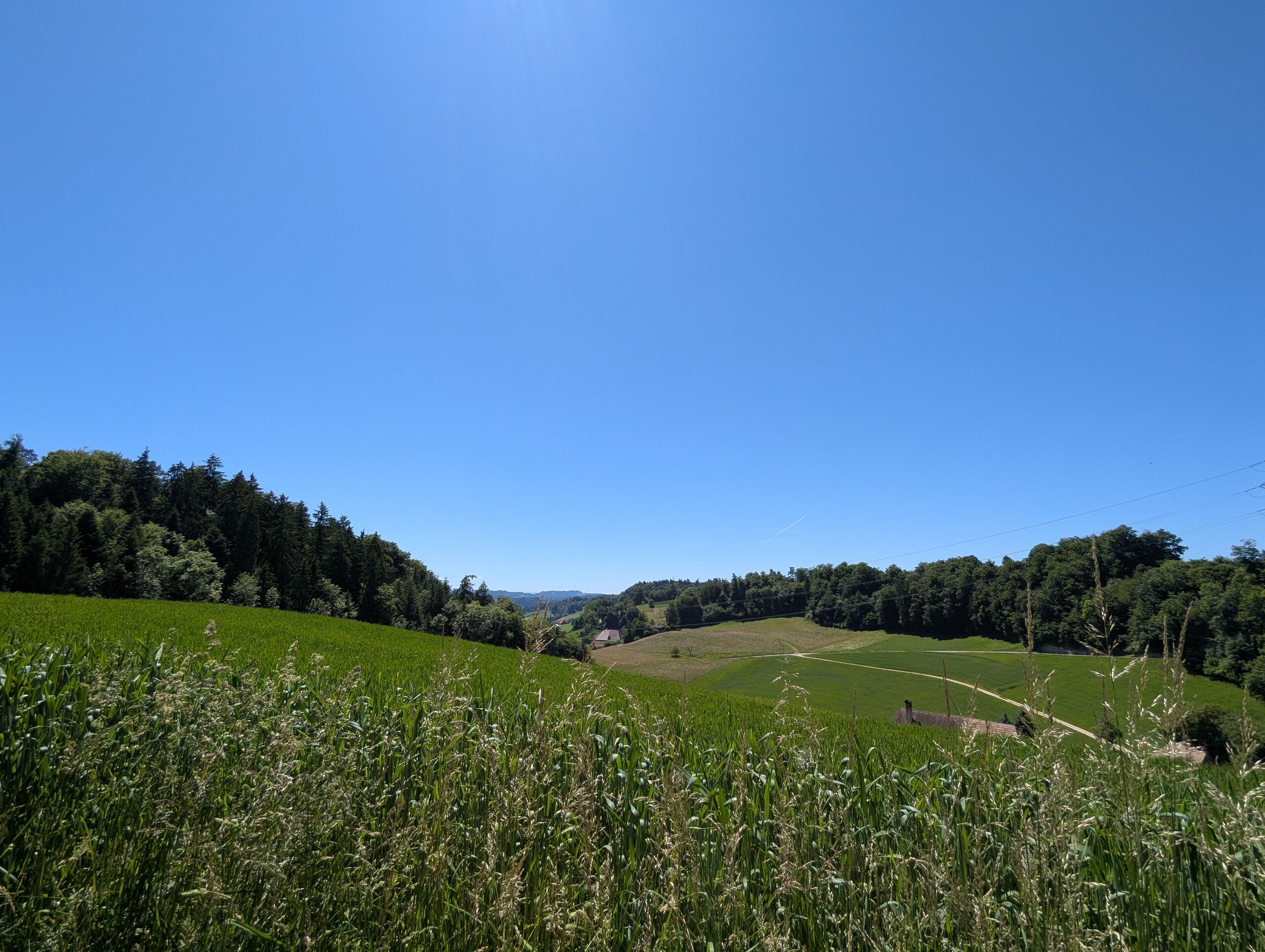 Freier Ausblick garantiert