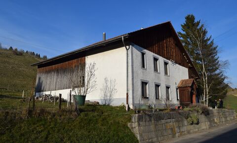 House 4.5 rooms with orchard