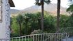 3 - 6600 - 003 Single family house CHF 895'000.-