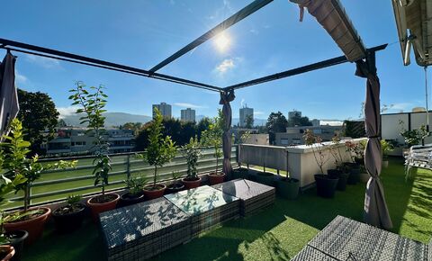 Modern penthouse apartment with large terrace and view