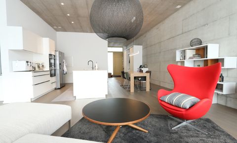 Moderne Loft-Wohnung mit urbanem Design