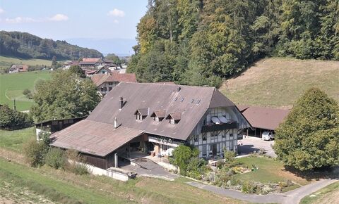 Bauernhaus mit 3 x 4.5 Zi-Whg + Studio