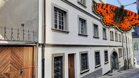 Wohnung CH-1700 Fribourg, Rue de Lausanne 87