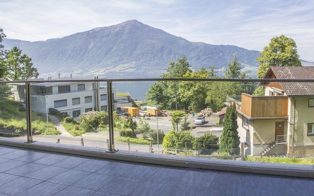 3.5 Room Apartment with beautiful View over Lake