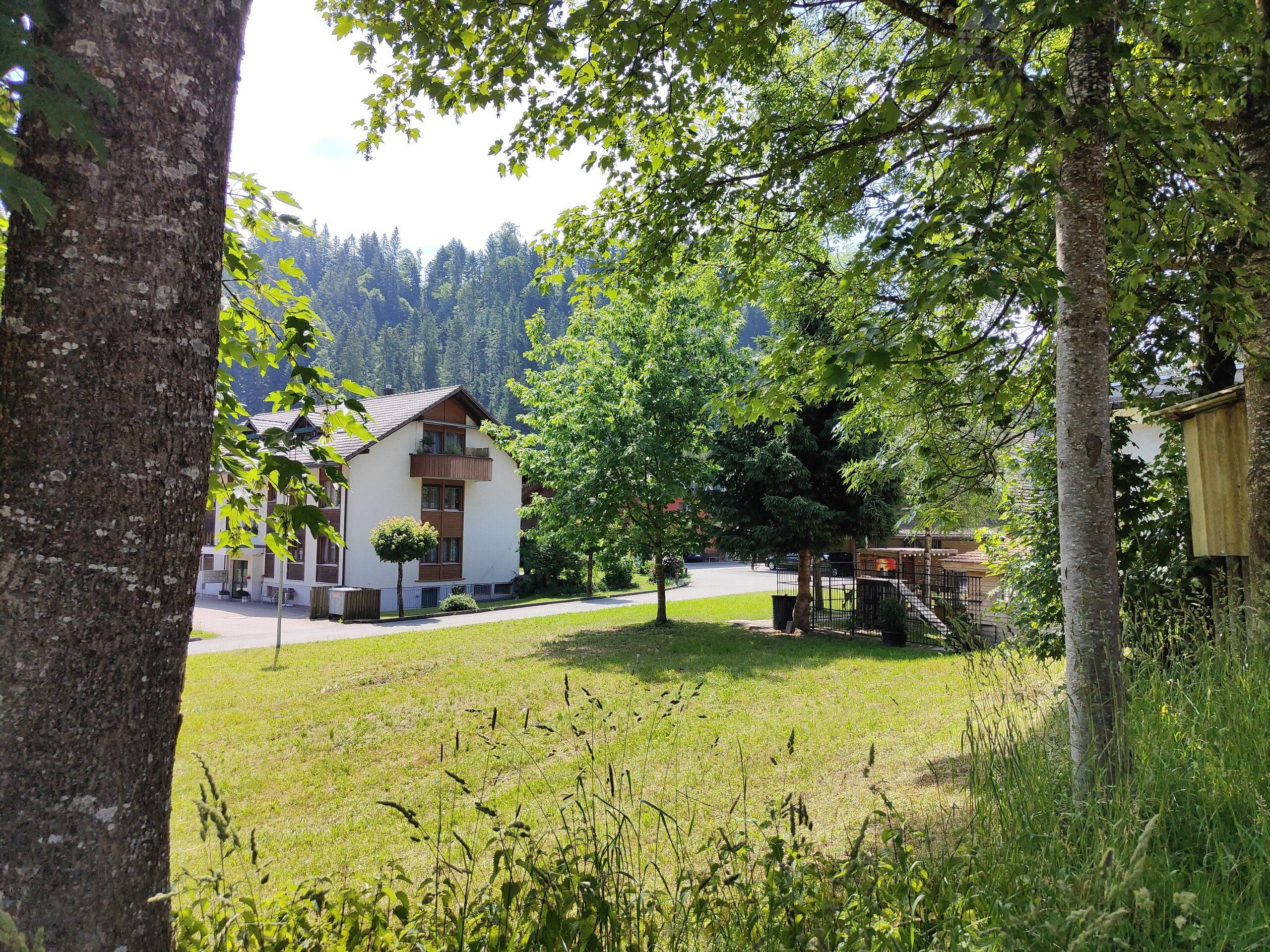 Blick vom Parkplatz Bären zur Bärenmatte