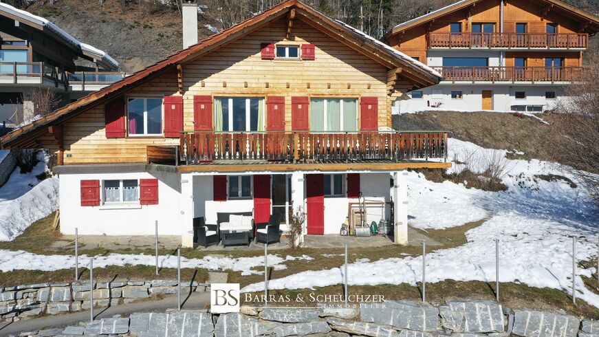 Charmant chalet de 2 appartements avec vue panoramique