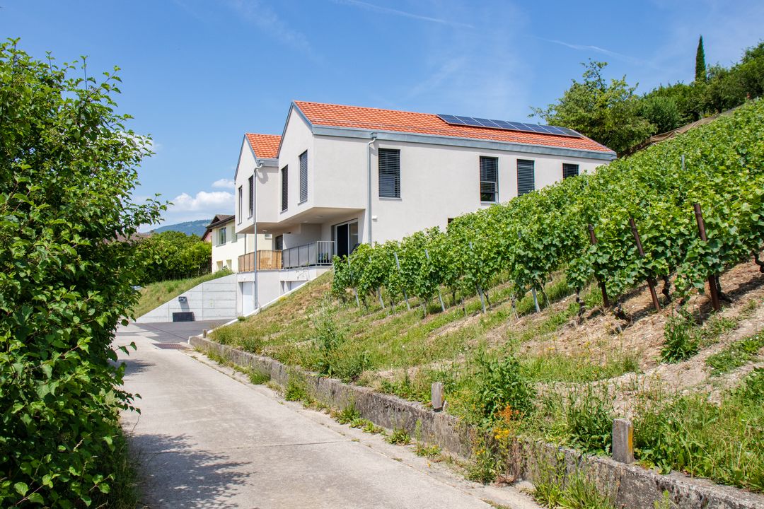 Projet immobilier à Valeyres avec 2 maisons construites, la terrasse