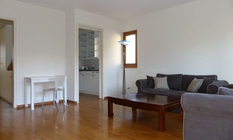 Unique 1 bedroom  flat in the heart of Carouge