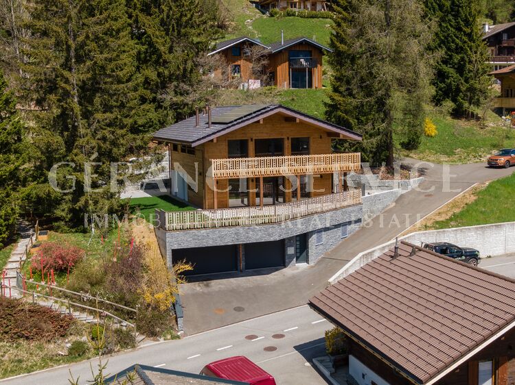Image for Chalet neuf au confort absolu composé de 2 appartements