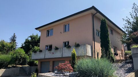 Single family house CH-5610 Wohlen AG
