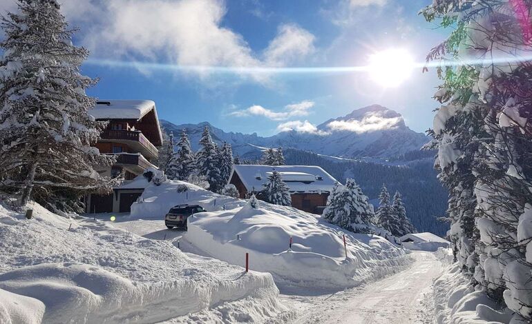 Au Mazots de Gryon - Très bel appartement sur les pistes de ski