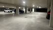 We offer you a magnificent apartment of 4.5 pcs. on the 1st floor