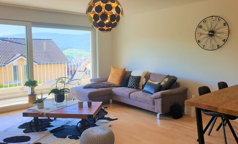 Recent 3.5 room EPP apartment - 85 m2