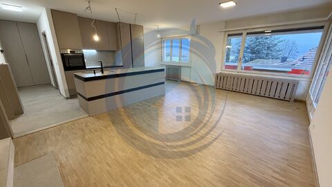 MAGNIFIQUE APPARTEMENT RÉNOVÉ DE 3,5 PIÈCES AVEC GRAND BALCON