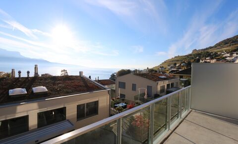 Lavaux 26. Vue lac au cœur du Lavaux - Réf : Co 16-220-01 B2