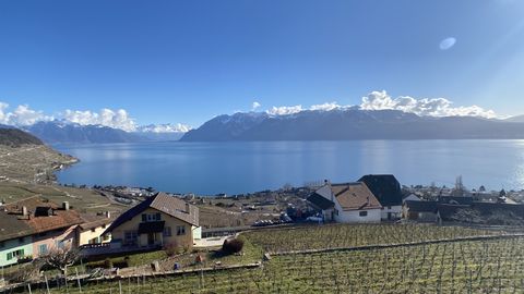 Magnifique propriété avec vue panoramique sur le lac et les Alpes