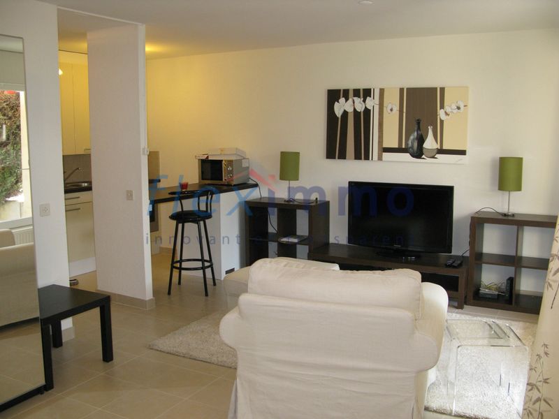 Apartment 1.5 rooms - terrace and garden. 
Completely renovated - Free of Lease