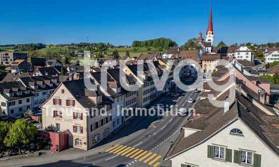Charmantes Wohn- und Geschäftshaus 