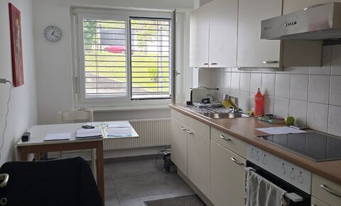 Appartement de 53 m2 au rez-de-chaussée