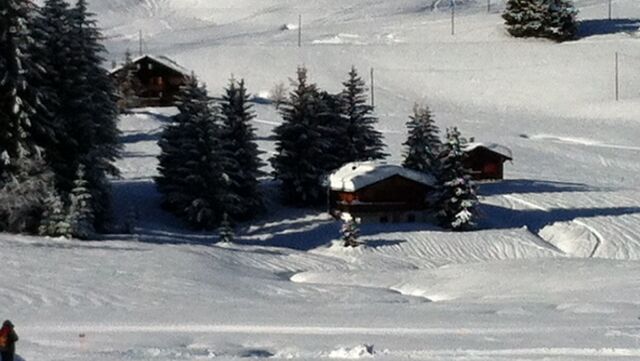 Vendu aux Mosses : Chalet de 4 pièces