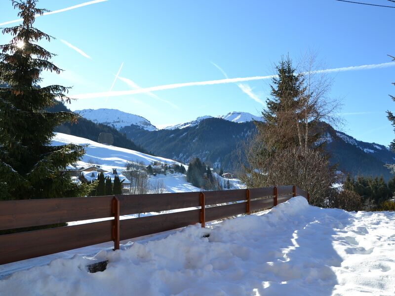 Renovated apartment FR-74120 Megève