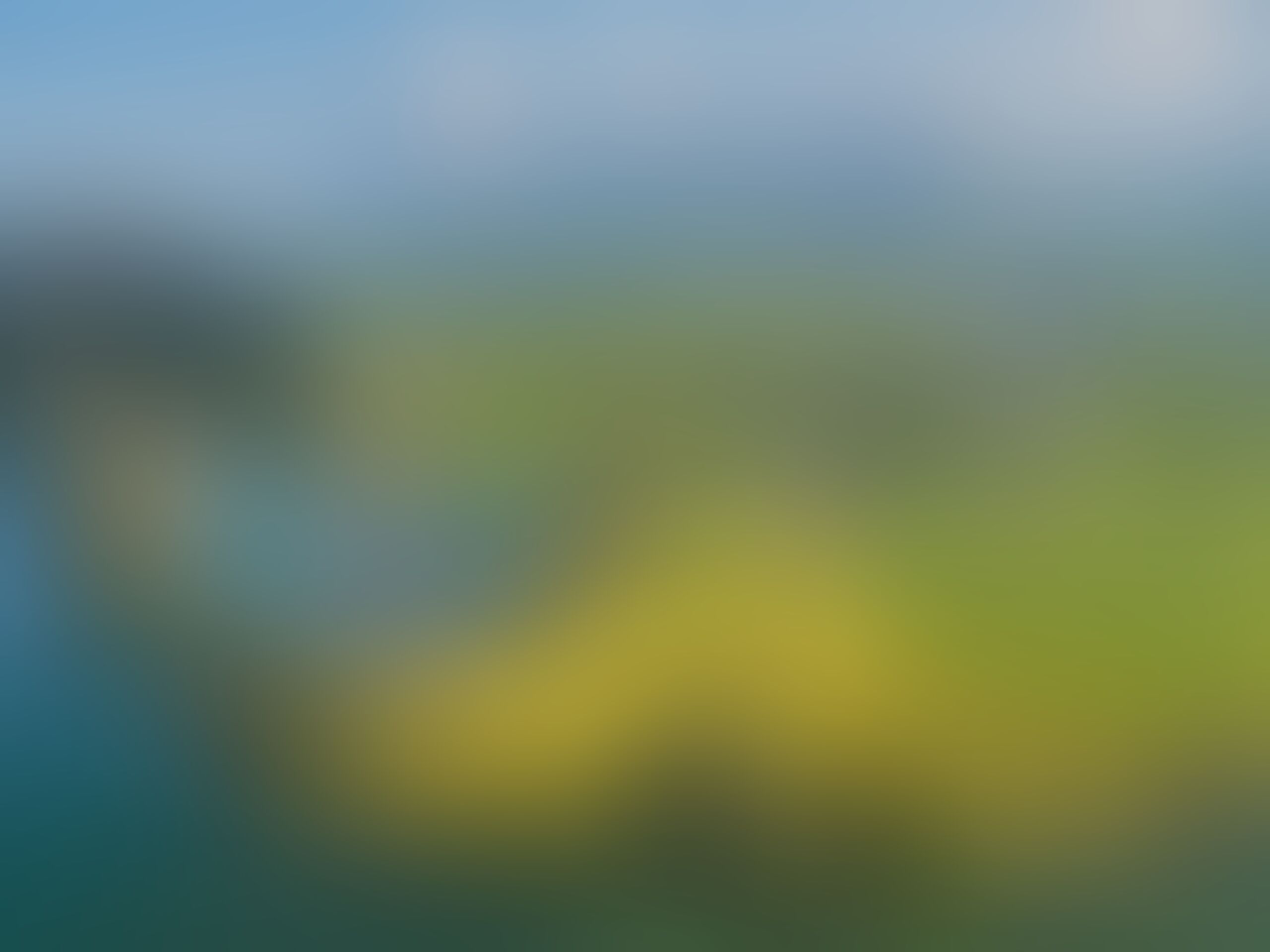 Ein verschwommenes Bild