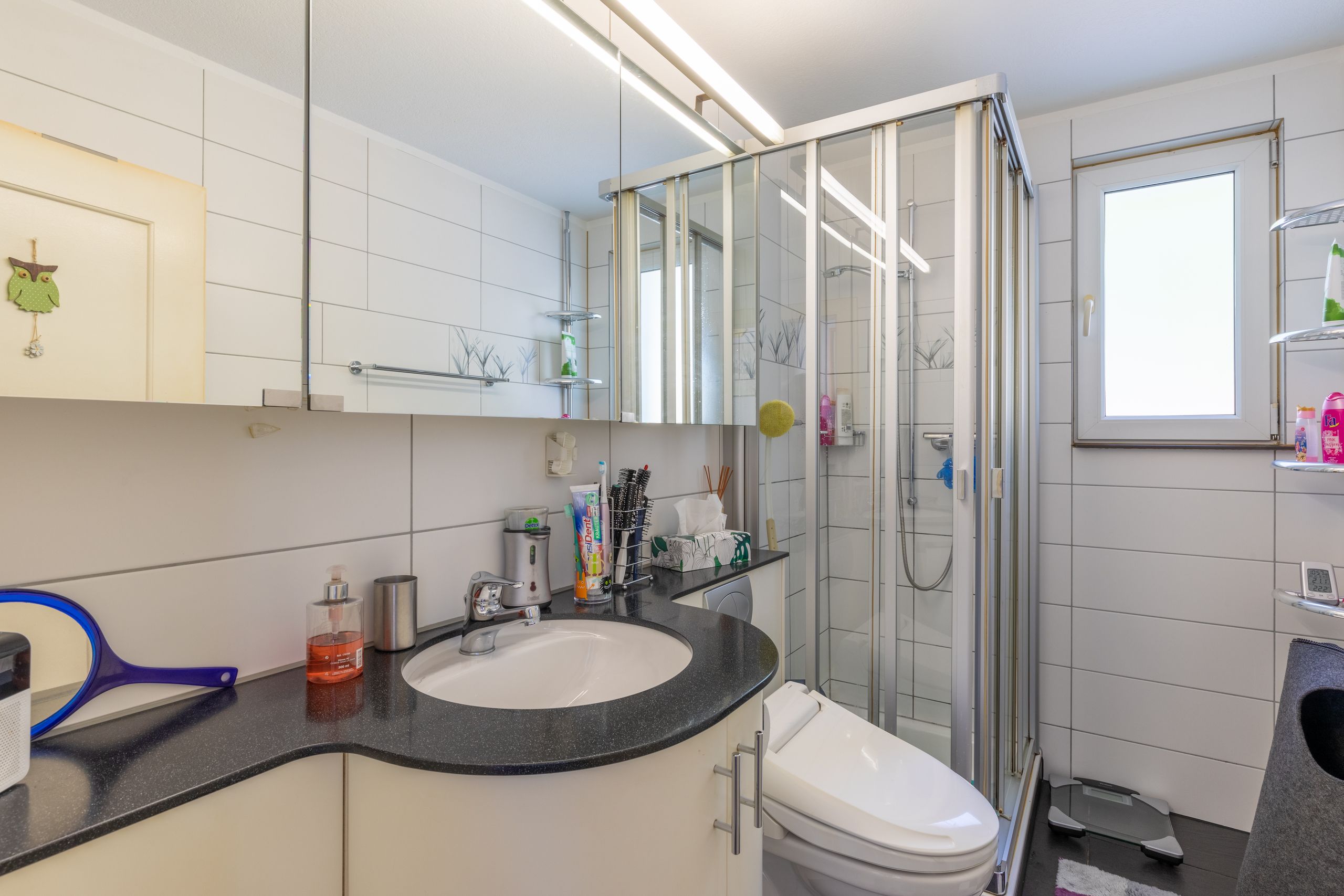 Badezimmer mit Dusche, Lavabo und WC (Erdgeschoss)