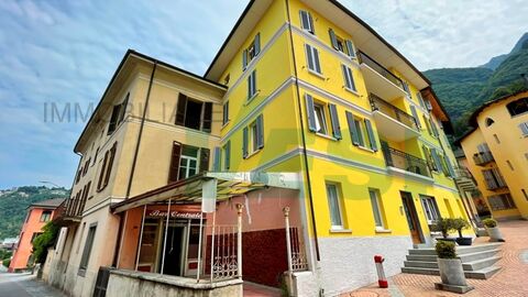 Charming old Ticinese-house in historic village center, with lake view