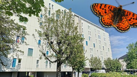 Maisonette-Wohnung CH-1700 Fribourg, Vieux Chênes 7