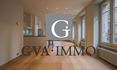 Superb charming apartment in the heart of downtown Geneva