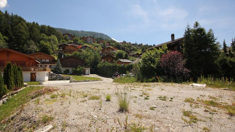 Votre terrain de rêve !