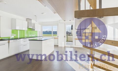 Duplex CH-3363 Oberönz