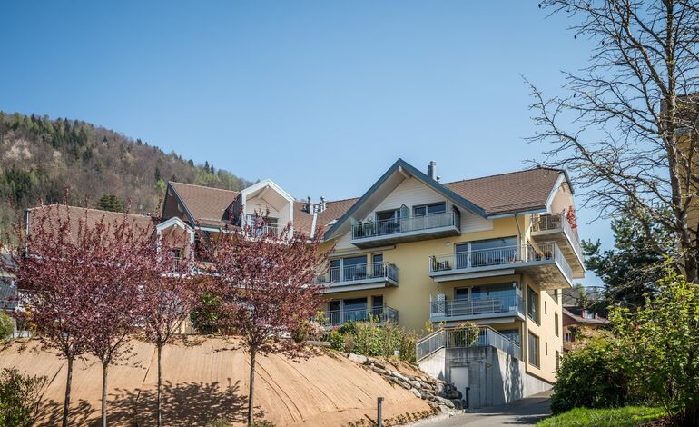 Spacieux 3,5 pièces au centre du village
Belle vue lac