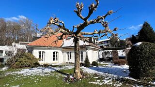 Bel appartement de 2½ pièces avec jardin et terrasse privatifs