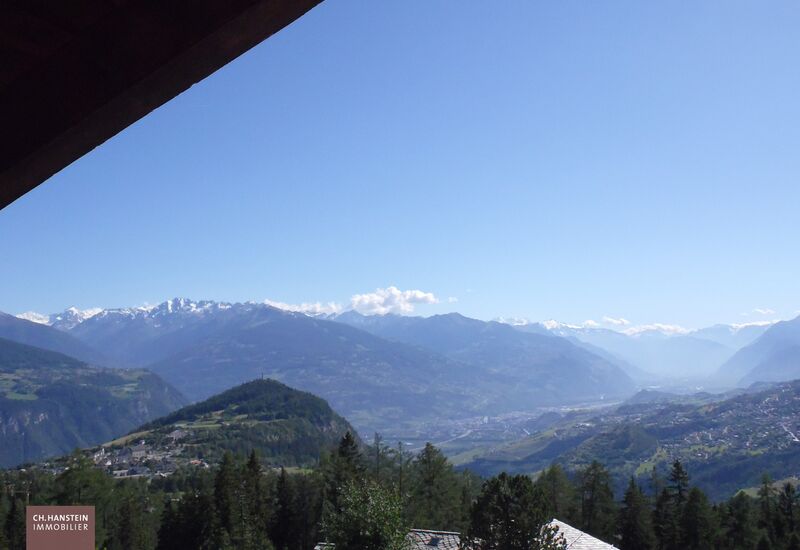 [IMG 25527]