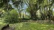 Tolles, helles Haus und Baulandreserve insgesamt mit 1292m2