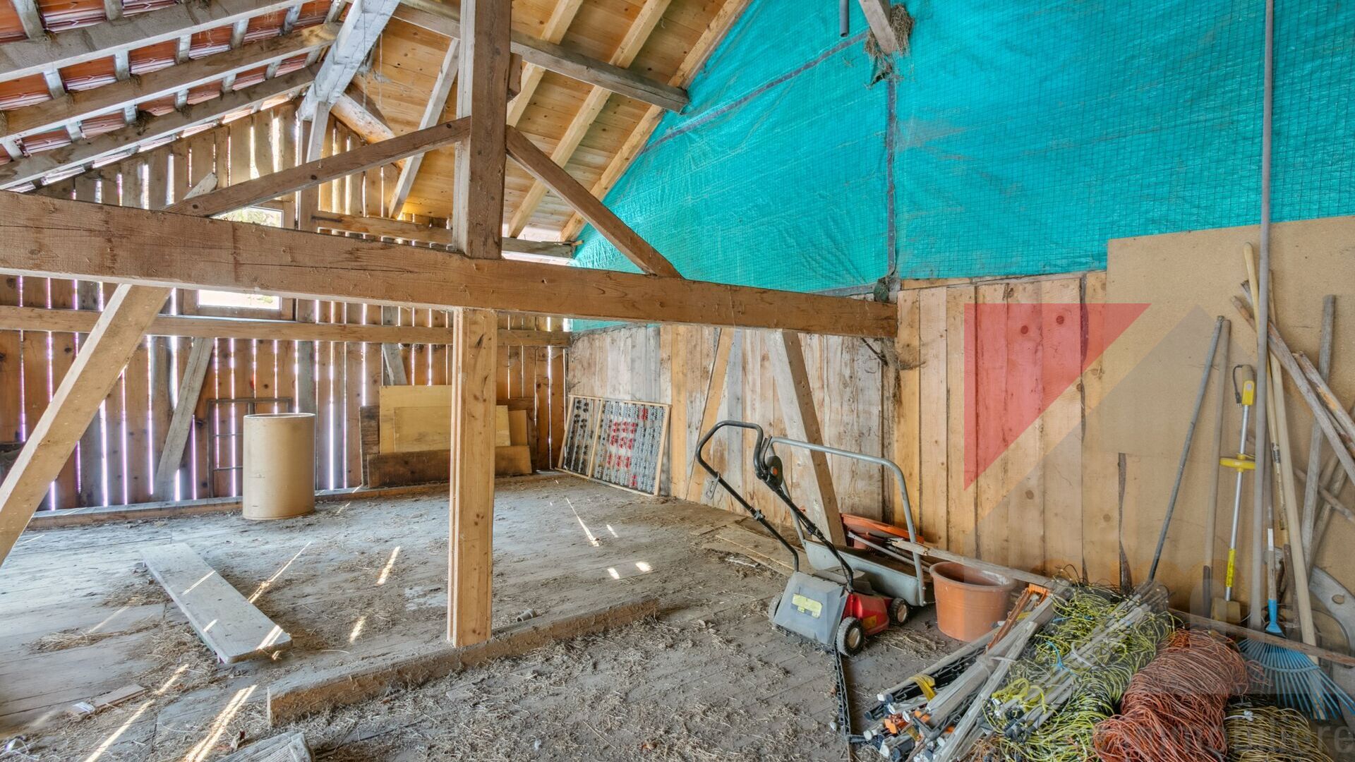 Picture 9