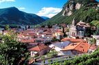 Grande terreno edificabile con progetto approvato per due edifici