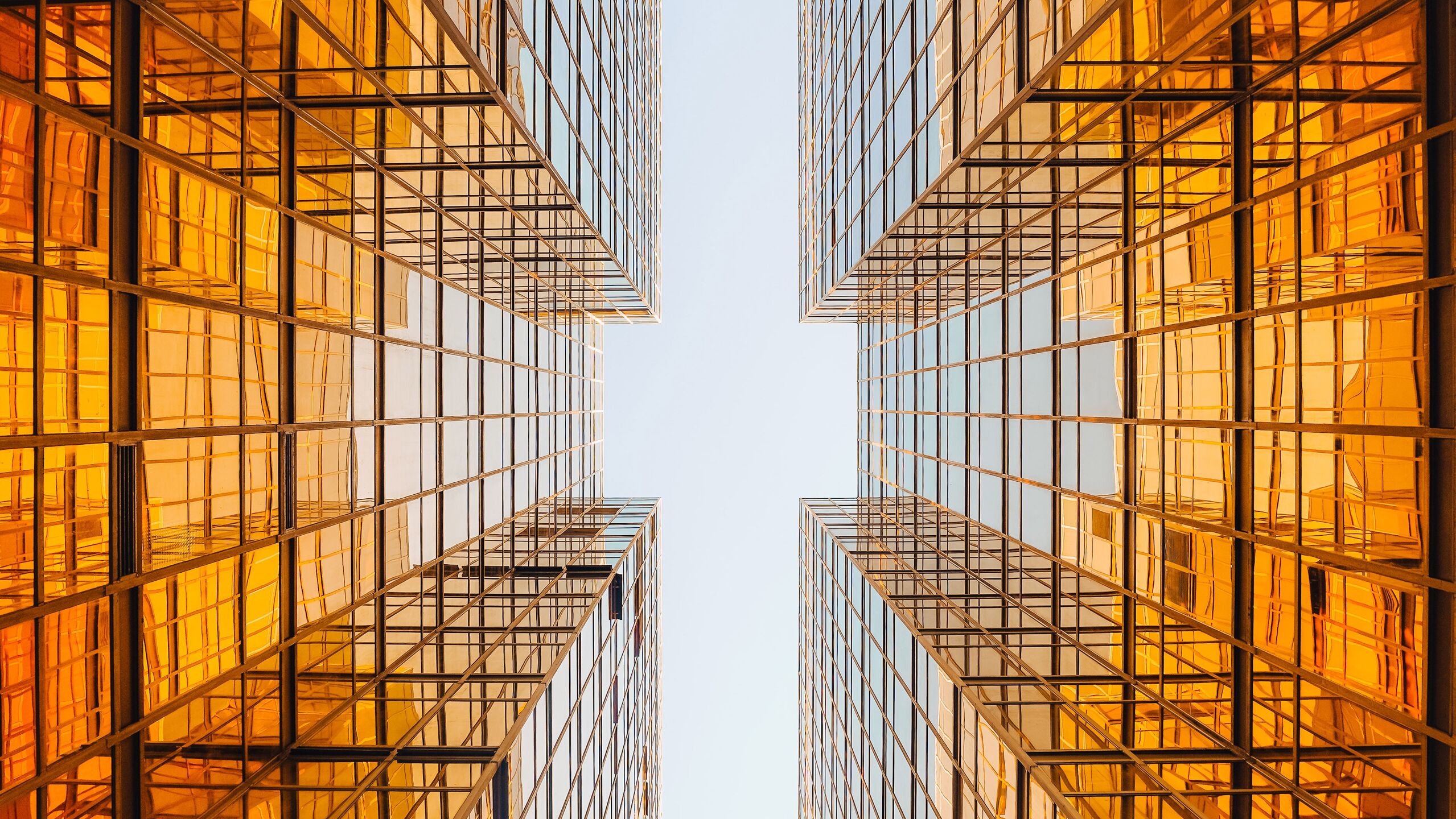 Photo by Merci Dagli on Unsplash