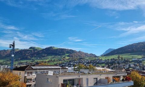 Erstbezug - 4.5- Zimmerwohnung im Eigentumsstandard