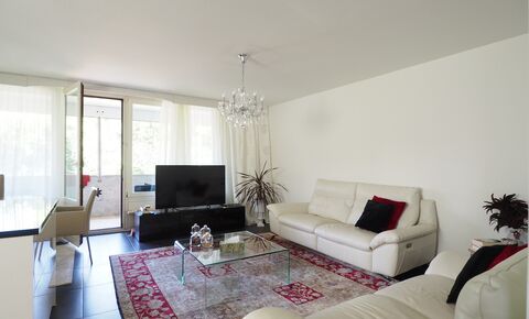 Bright and modern 4.5 room apartment with balcony in Allschwil