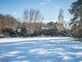Exclusif : belle parcelle constructible de 1'000 m²
