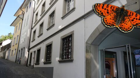 Surface administrative au coeur de Fribourg!